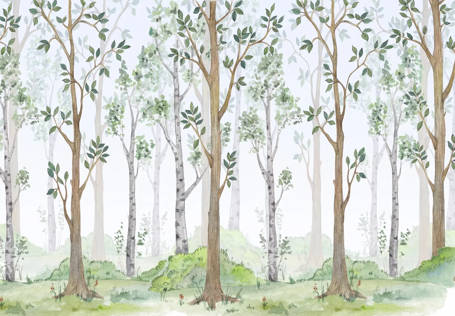 murais de parede Floresta mágica u51424