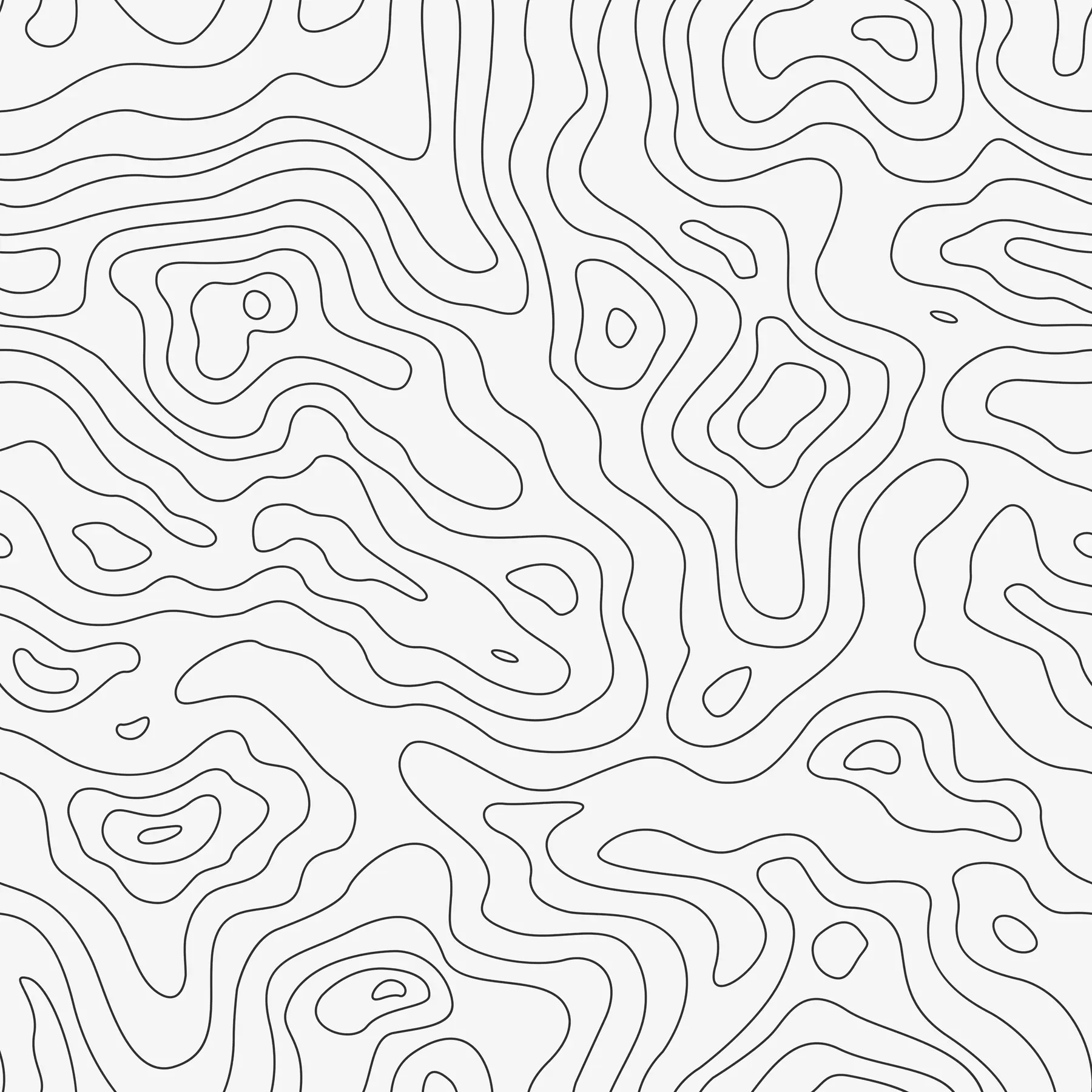 murais de parede Mapa topográfico u70650