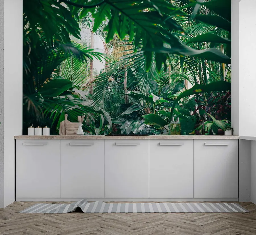 murais de parede Selva densa u05361