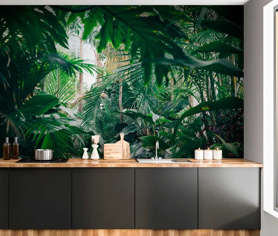 murais de parede Selva densa u05361