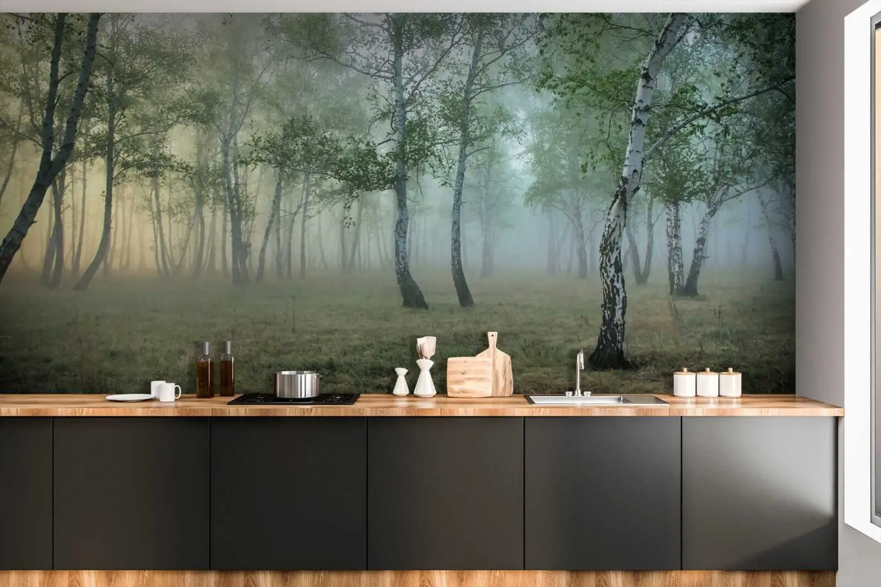 murais de parede Nevoeiro Floresta de Bétulas u25820