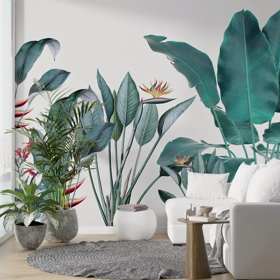 murais de parede Plantas tropicais u29493