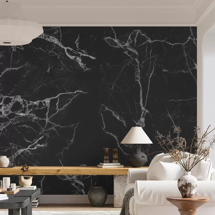 murais de parede Profundidade de Mármore Preto u32084