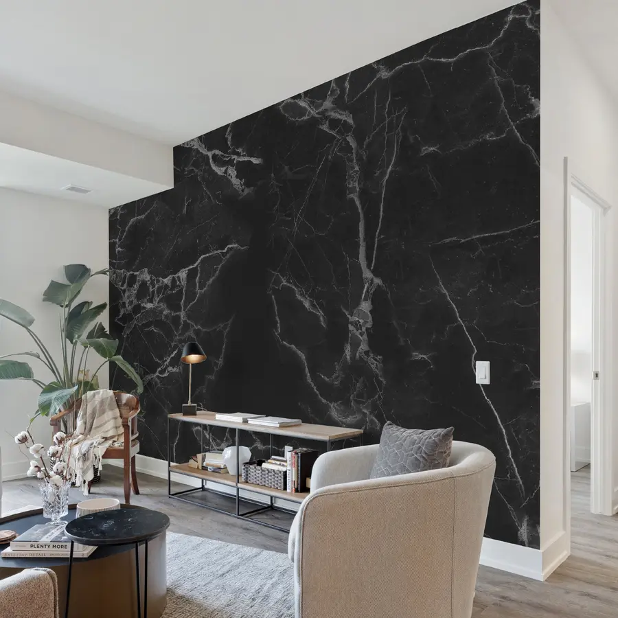 murais de parede Profundidade de Mármore Preto u32084