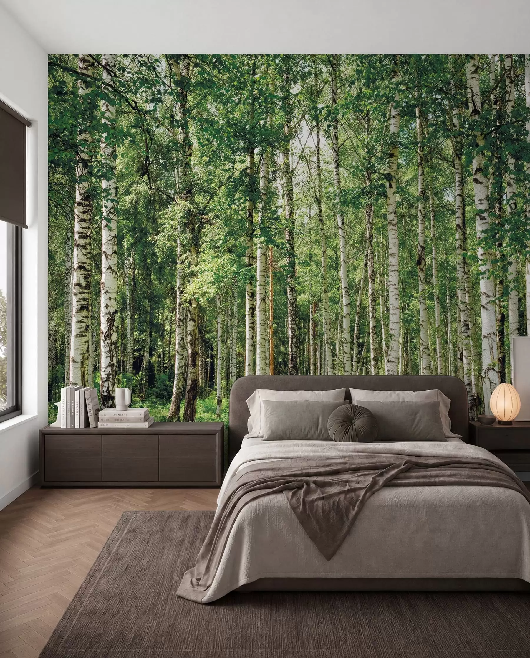 murais de parede Floresta de bétulas u52530