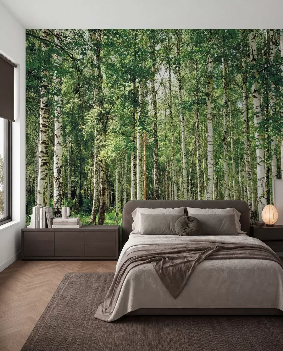 murais de parede Floresta de bétulas u52530