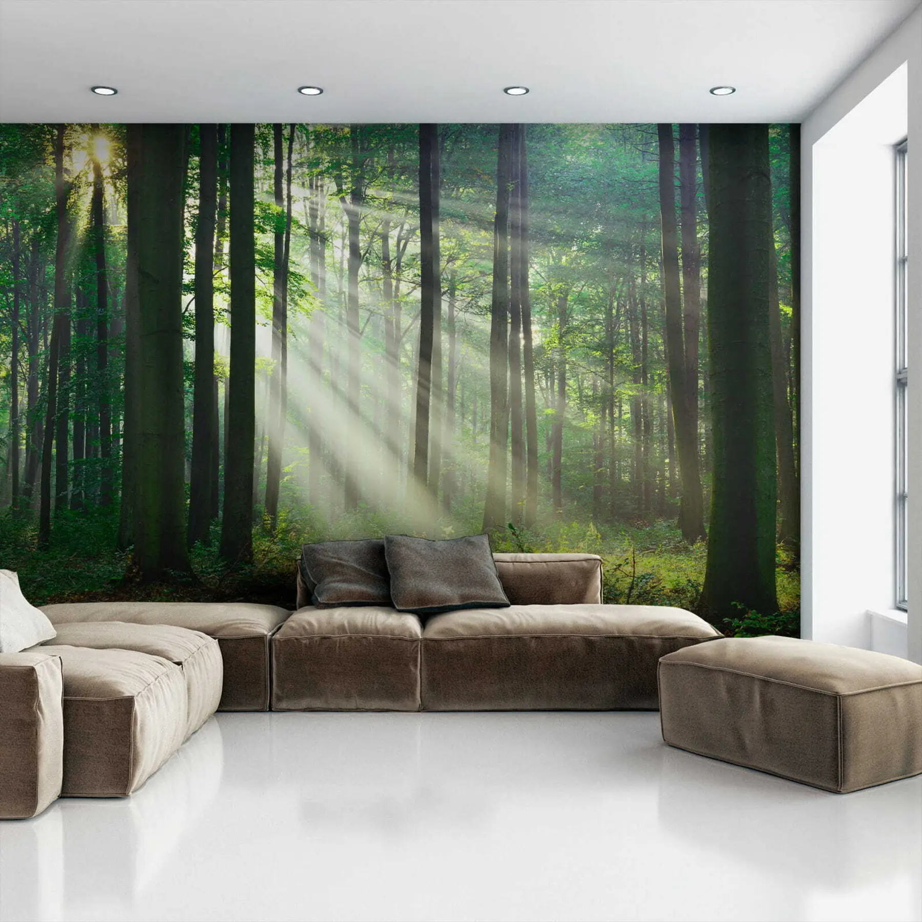 murais de parede Raios ensolarados na floresta u56787