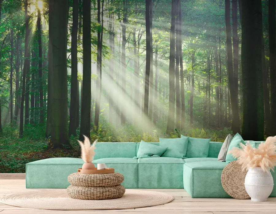 murais de parede Raios ensolarados na floresta u56787