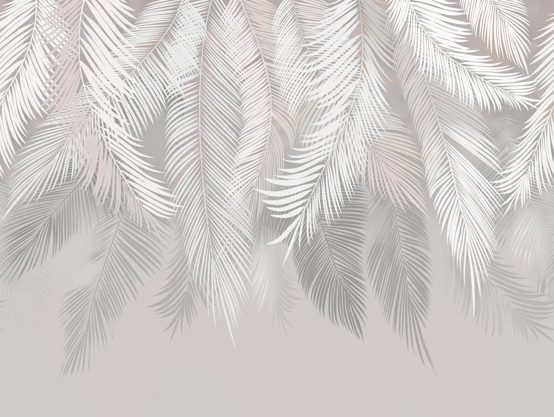 murais de parede Folhas de palmeira cinza u48556
