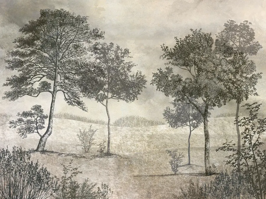 murais de parede Árvores antigas u80030