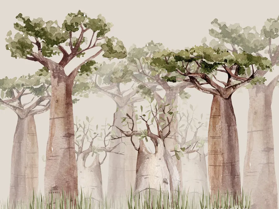 murais de parede Baobá, tema safari, floresta, cores bege e verde w00082