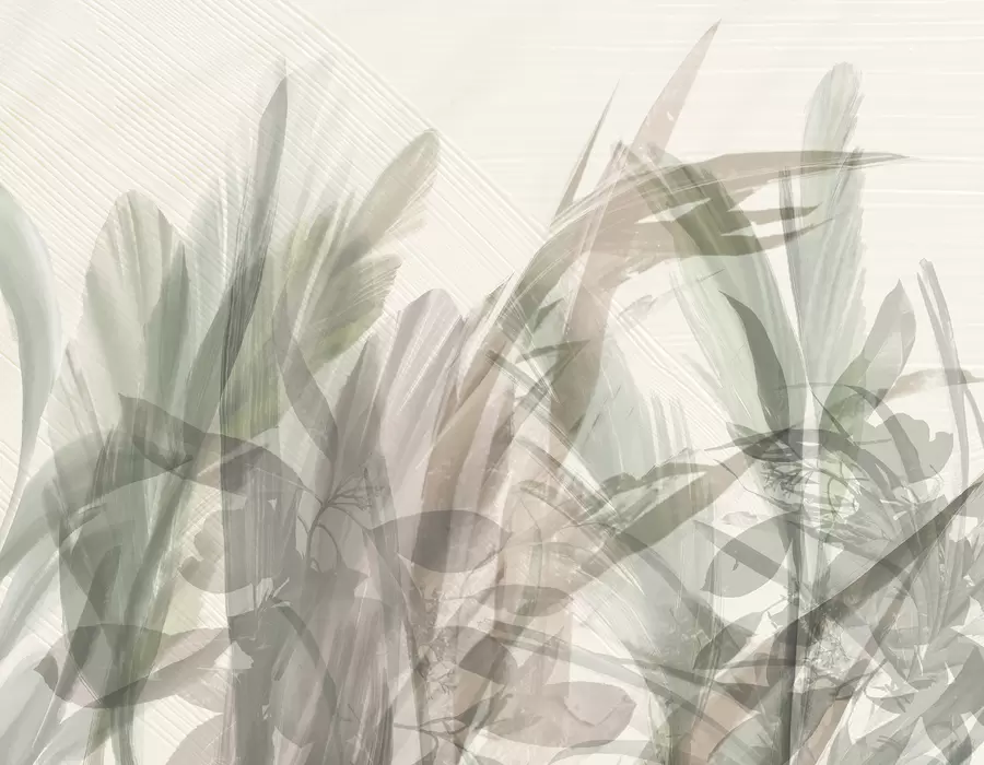 murais de parede Multicomposição abstrata de folhas tropicais borradas, semelhantes a grama, em tons de verde claro e cinza w00798