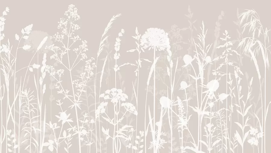 murais de parede Minimalismo suave de plantas e flores do campo w01270