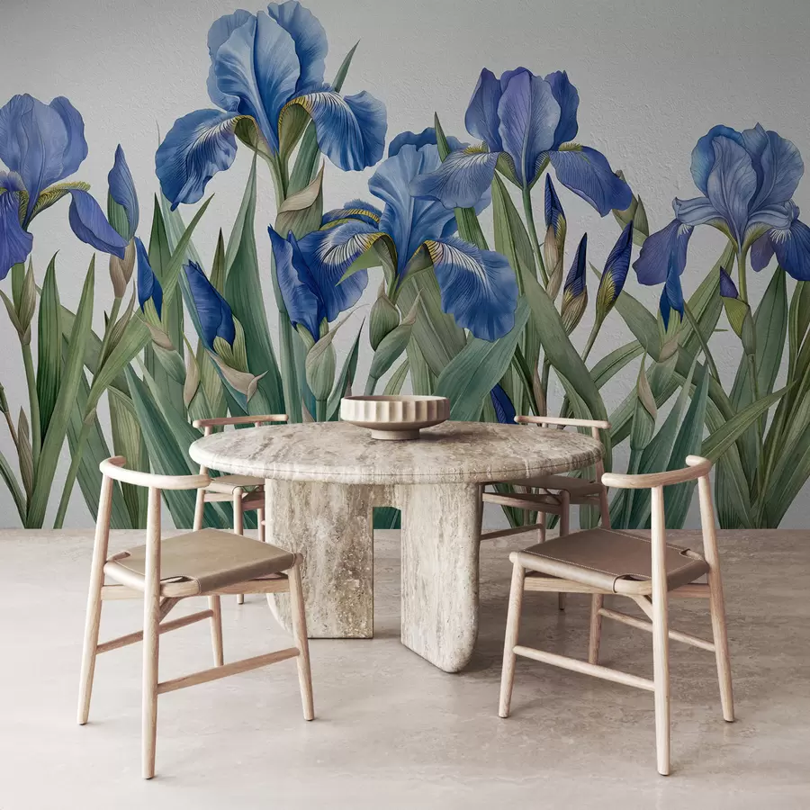 murais de parede Grandes íris pintadas em um muro de concreto branco w07949