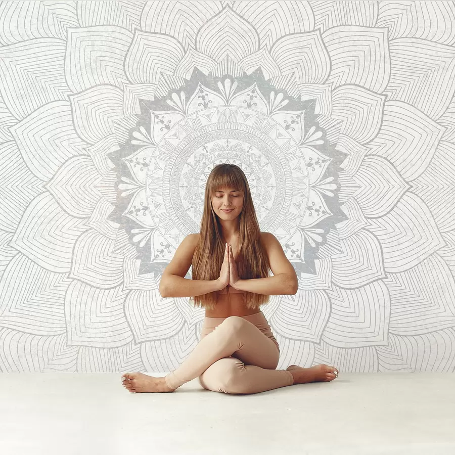 murais de parede Mandala redonda, papel de parede para espaço de ioga ou para harmonizar o espaço pessoal. Mandala de parede em tons de cinza sobre um fundo heterogêneo texturizado w01088v2