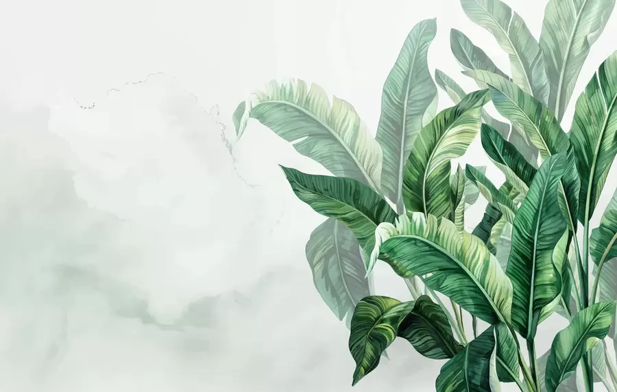 murais de parede Folhas de bananeira, folhas grandes, folhas verdes, folhas tropicais w01630