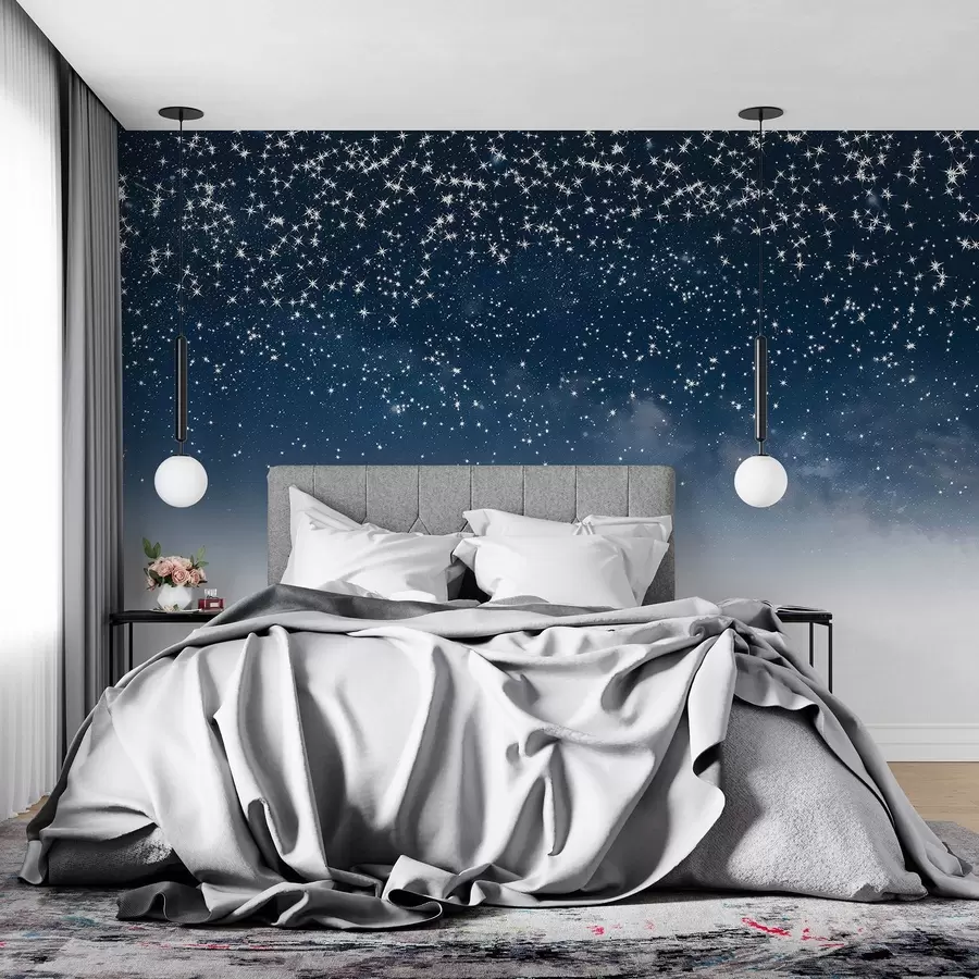 murais de parede Céu noturno estrelado, gradiente suave, cósmico, constelações w01797v1