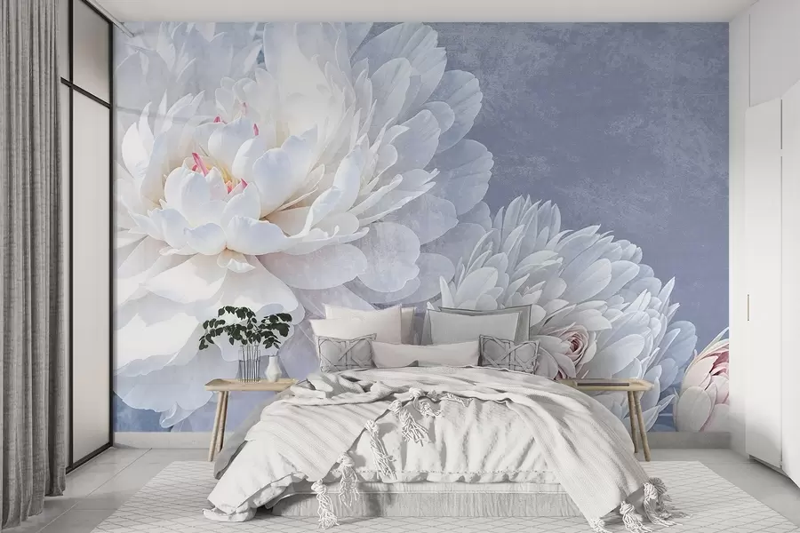 murais de parede Flores de peônia brancas detalhadas com pétalas suaves e delicadas contra um fundo texturizado em azul pastel claro w08379