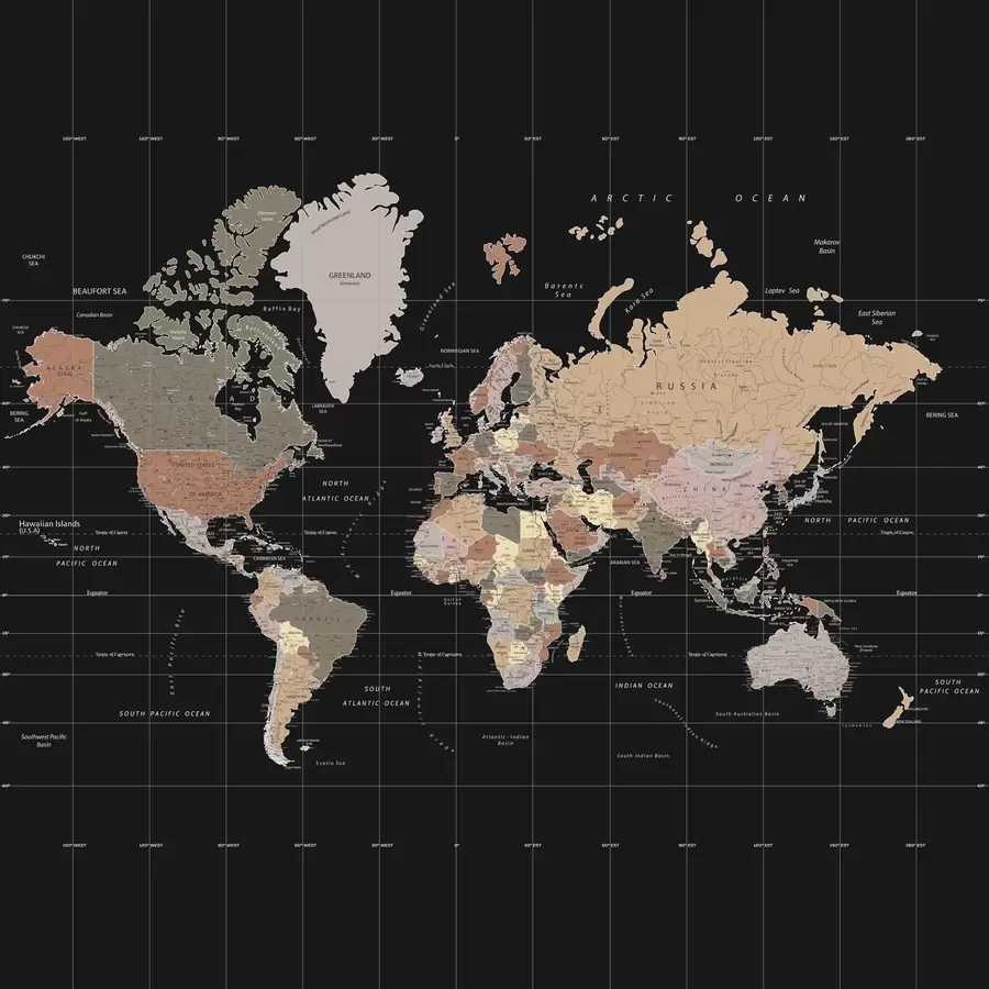 murais de parede Mapa-múndi com diversos países delineados u99477d1