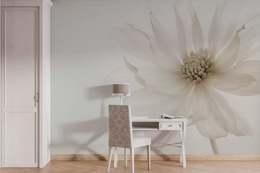 murais de parede Delicada flor bege em um fundo claro w02077v1