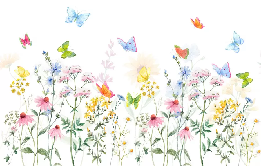 murais de parede Flores, plantas e borboletas coloridas w02238