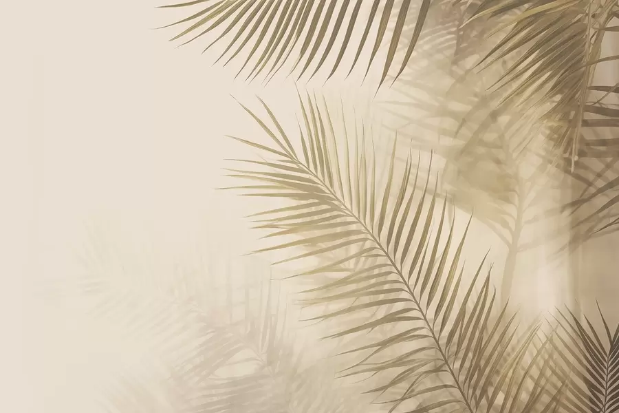 murais de parede Folhas de palmeira em estilo vintage w02224
