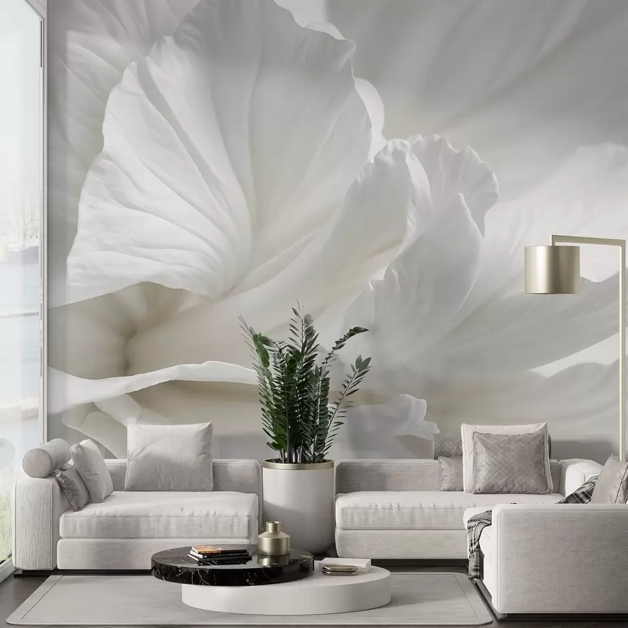 murais de parede Impressão abstrata minimalista de uma delicada flor branca com pétalas macias e aveludadas w08424