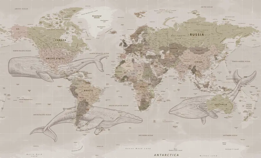murais de parede Mapa do mundo com baleias u50449