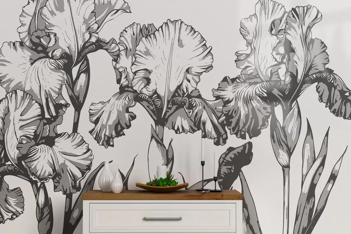 murais de parede Imagens gráficas de íris w02526