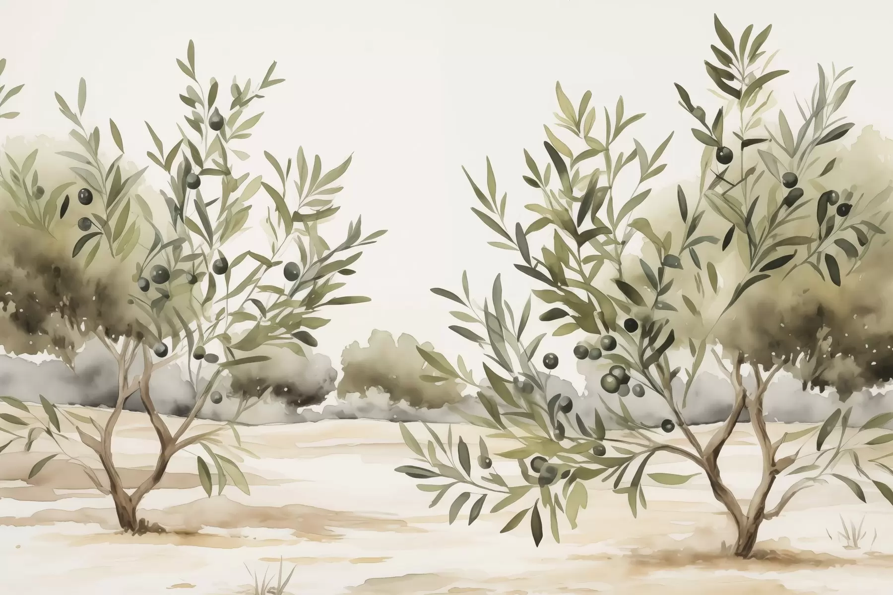 murais de parede Aquarela de imitação abstrata de oliveiras w02583
