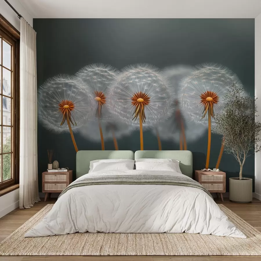 murais de parede Dandelions arejados em um fundo natural escuro w08498