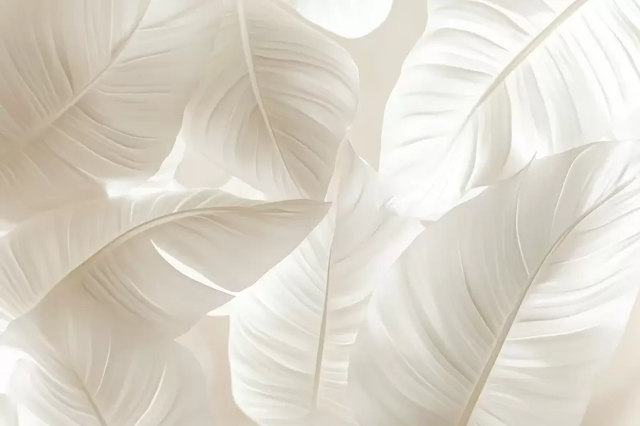 murais de parede Folhas grandes e delicadas w08565