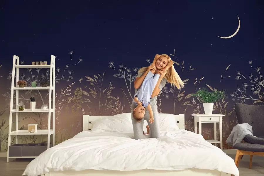 murais de parede Dente-de-leão com flores silvestres em um fundo de pôr do sol com céu azul e lua w08567