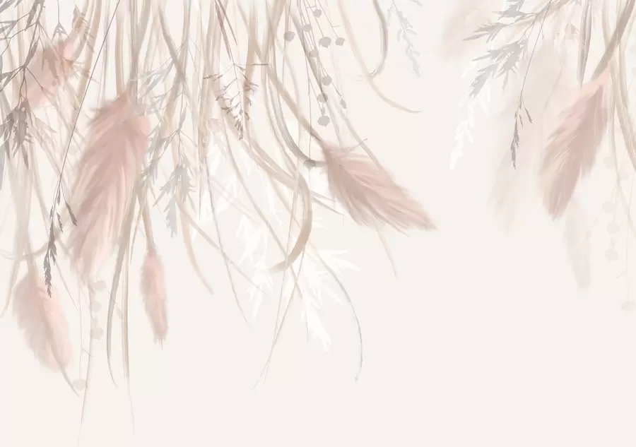 murais de parede Grama dos pampas macia e fina e espiguetas em tons de bege e rosa em um fundo claro w08611