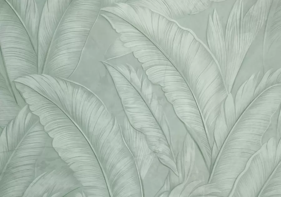 murais de parede Grandes folhas tropicais com detalhes de alta textura em uma cor verde monocromática no estilo loft  w08772v1