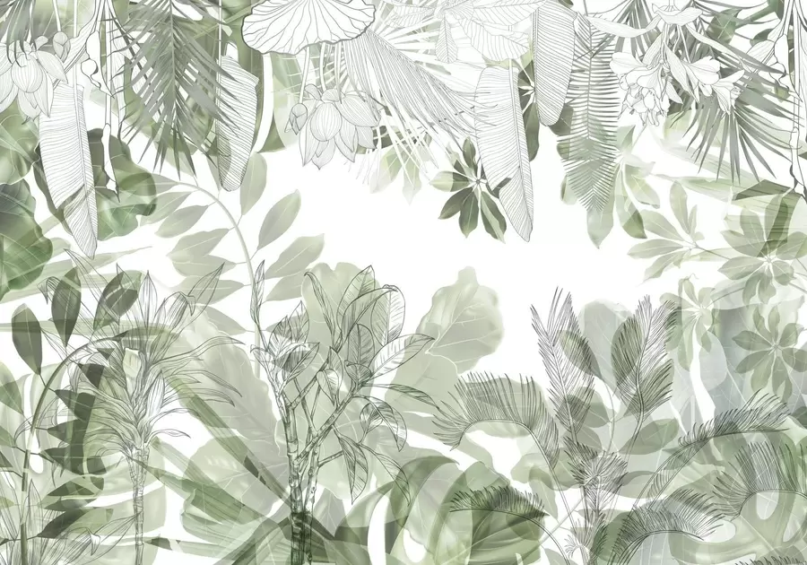 murais de parede Plantas e folhas tropicais com estampa de selva verde em um fundo branco w08823
