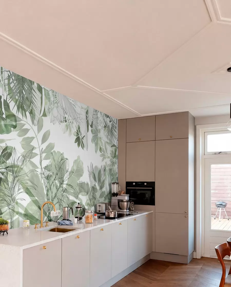 murais de parede Plantas e folhas tropicais com estampa de selva verde em um fundo branco w08823