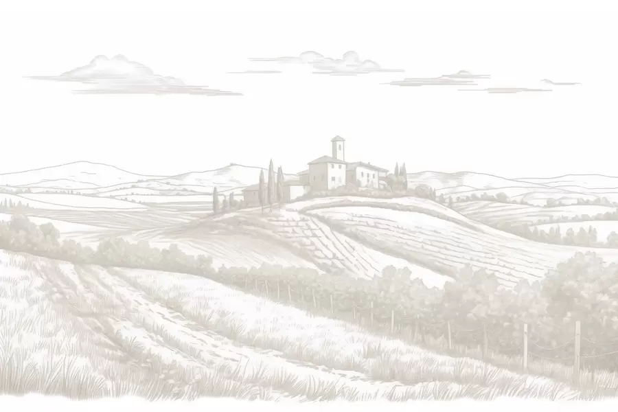 murais de parede Paisagens da Toscana, Itália, vinhedos, natureza, castelo antigo, cores bege w03349