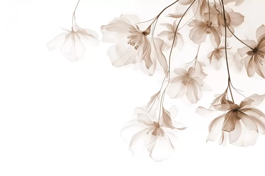 murais de parede Flores bege com pétalas translúcidas penduradas em um galho, bege e branco, composição de arte moderna minimalista w08911v1