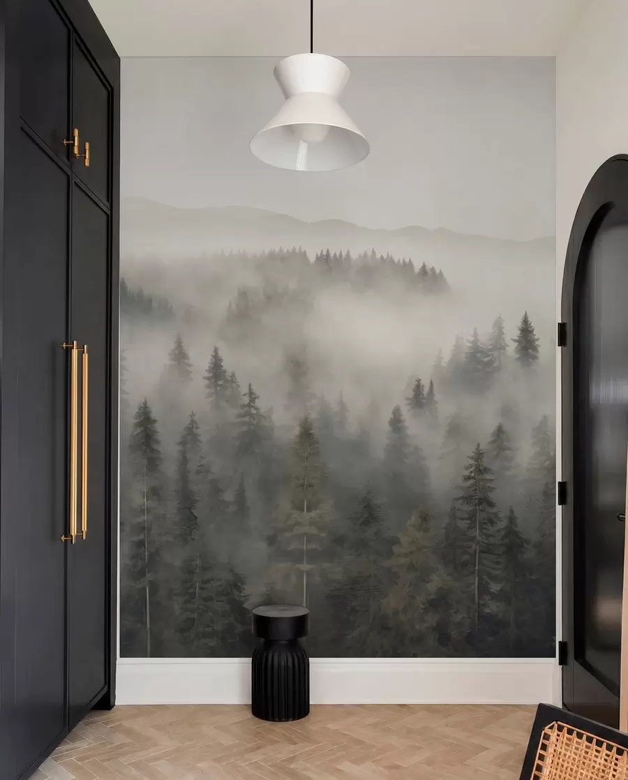 murais de parede Floresta de coníferas com neblina w03524