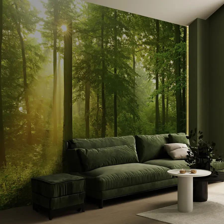 murais de parede Silêncio na floresta ensolarada u57295