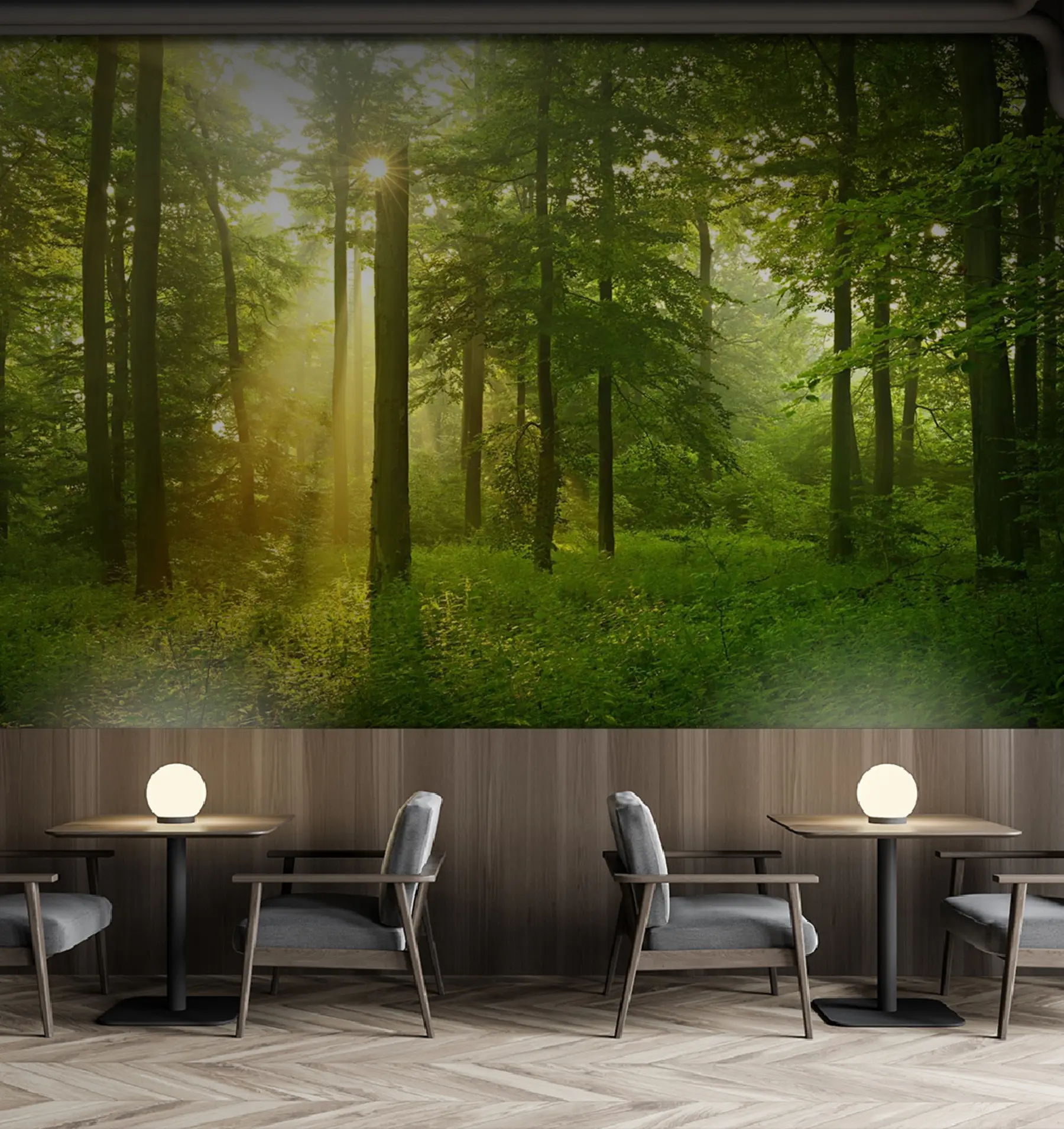 murais de parede Silêncio na floresta ensolarada u57295