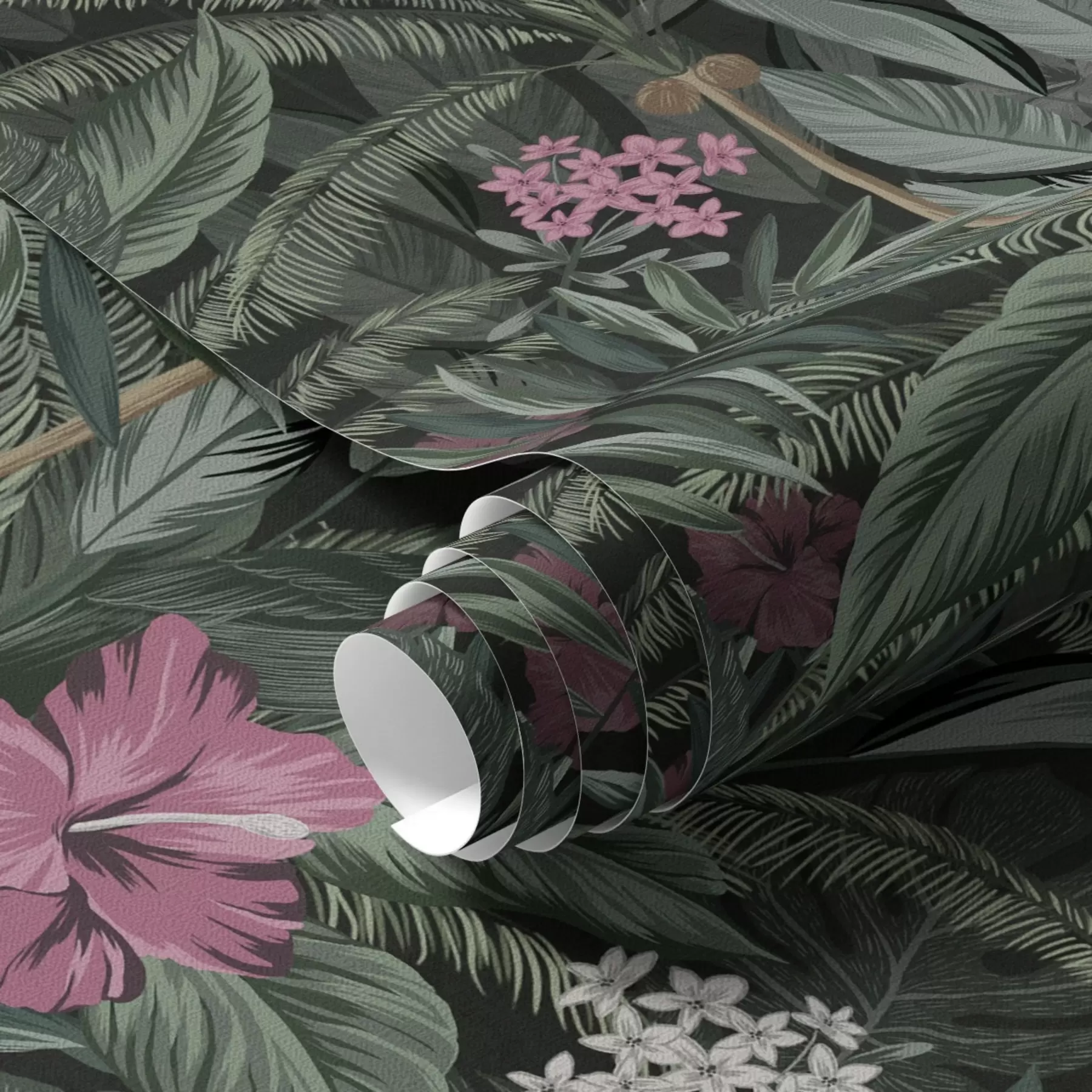 murais de parede Folhas tropicais e pássaro em um fundo escuro a00140