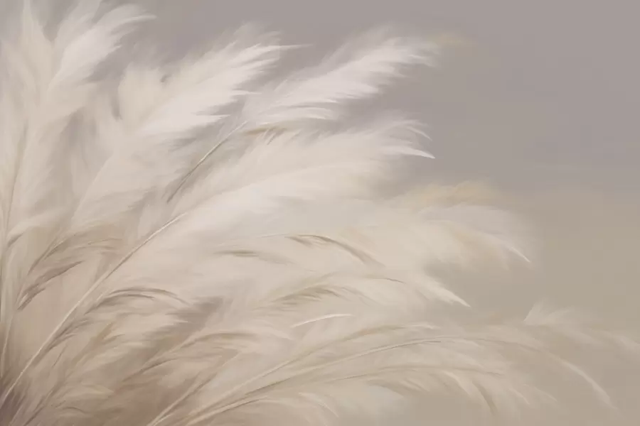 murais de parede Gramíneas macias e fofas em bege e cinza w03992