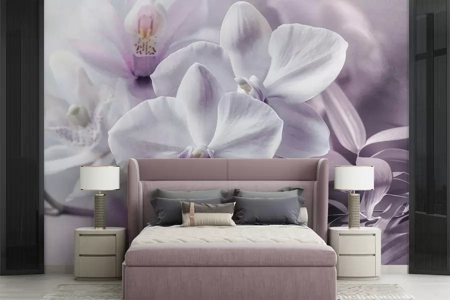murais de parede Flores de orquídeas delicadas brancas e lilás, iluminação suave e um fundo texturizado desfocado  w09155