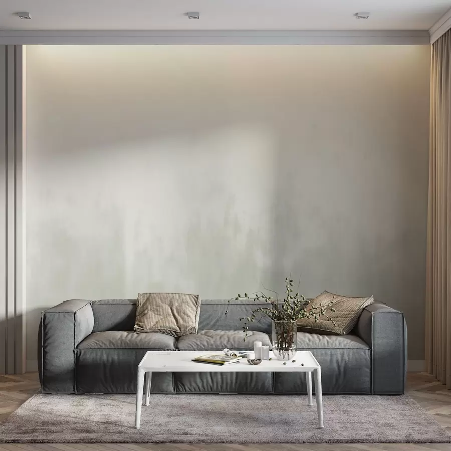 murais de parede Gradiente de aquarela em tons de cinza e bege, minimalismo w04156