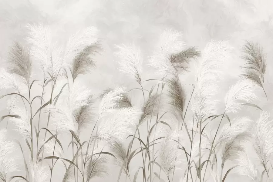 murais de parede A elegante grama dos pampas floresce em tons de cinza e marrom w09150