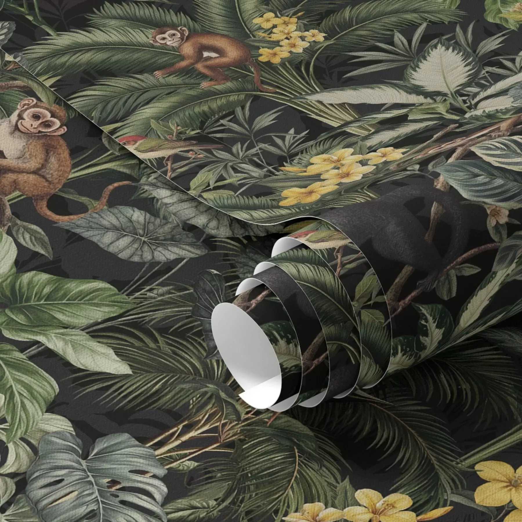 murais de parede Selva tropical com macacos, pássaros e folhagem densa a00191