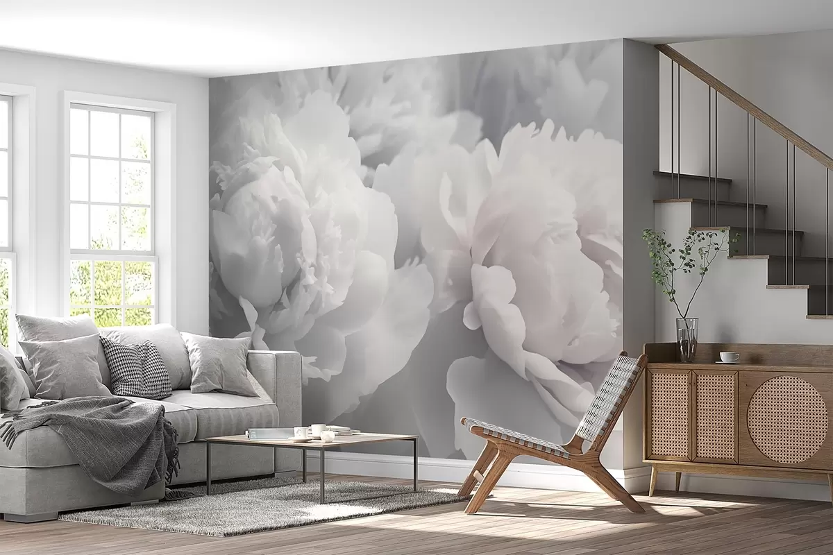 murais de parede Peônias w04336