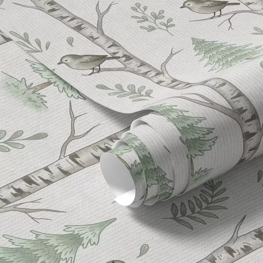 murais de parede Bétulas com pássaros em uma floresta verde-clara a00316